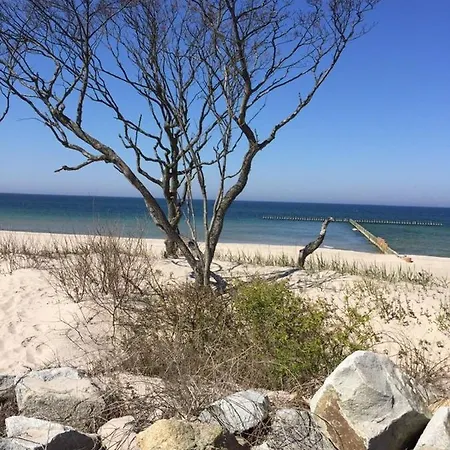 W Rusinowie U Gosi 롯지 *